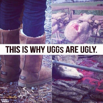 This-is-Why-Uggs-are-Ugly1.jpg
