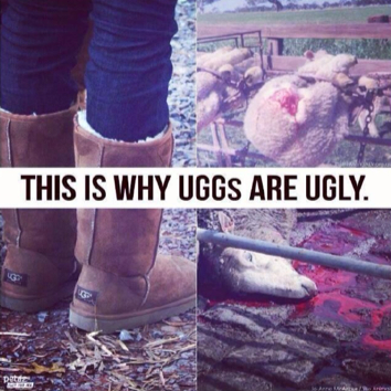 why uggs