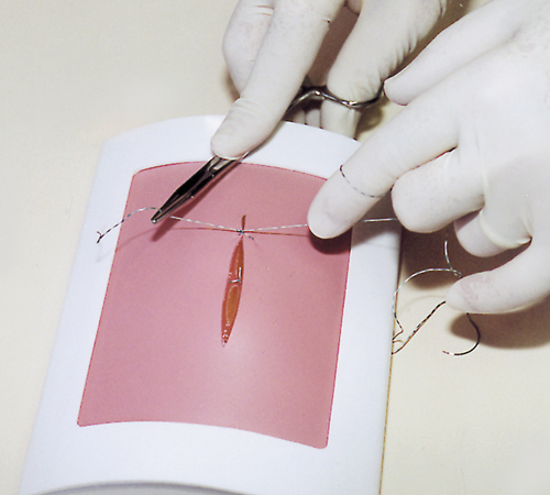 suture1.jpg